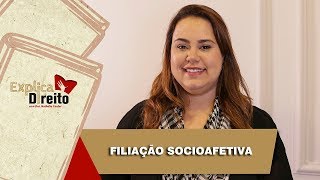 Explica Direito Filiação Socioafetiva  2019 [upl. by Mikael]